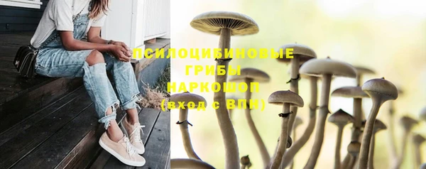 а пвп мука Верхний Тагил