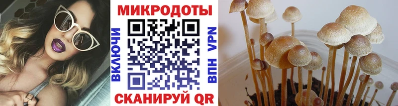 Галлюциногенные грибы прущие грибы Покровск